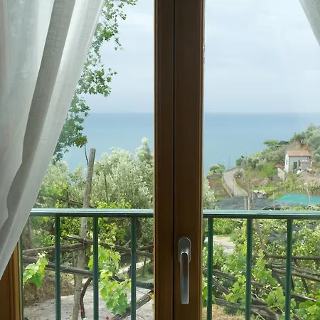 Sopra Il Limoneto Lantgård Cetara