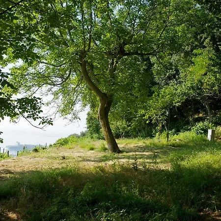 Sopra Il Limoneto Lantgård *