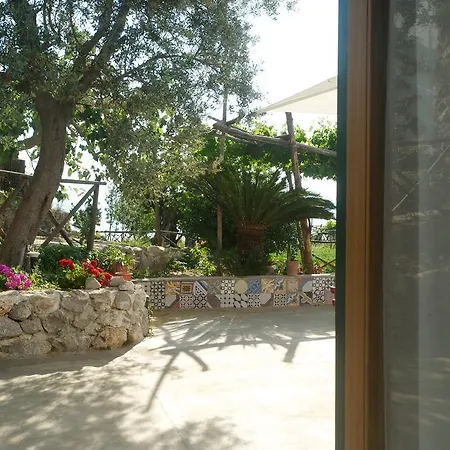 Sopra Il Limoneto Cetara