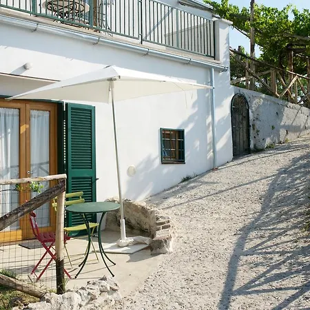 Sopra Il Limoneto Lantgård Cetara