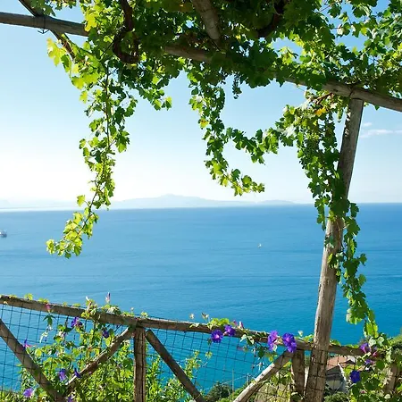 Farm stay Sopra Il Limoneto