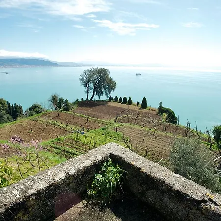 Sopra Il Limoneto