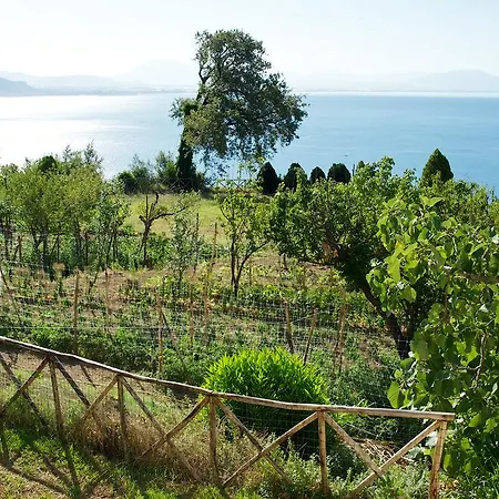 Alloggio per agriturismo Sopra Il Limoneto