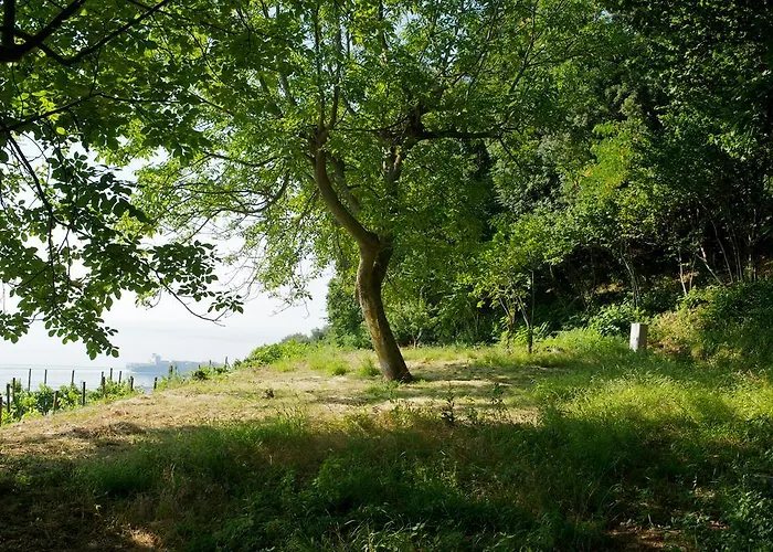 Sopra Il Limoneto בית חווה *